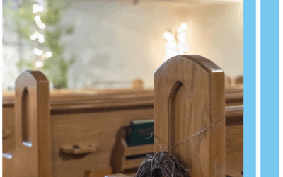 The journey of Advent