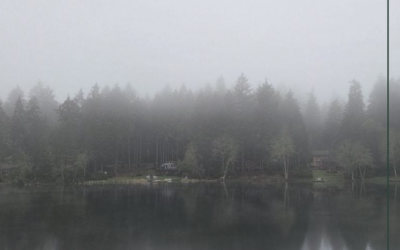 Wayfinding in the fog