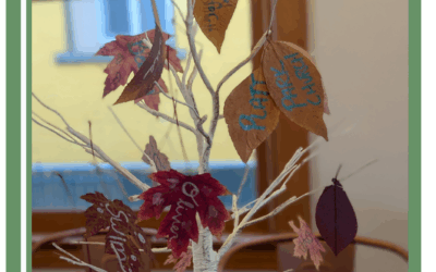 November is my favorite month