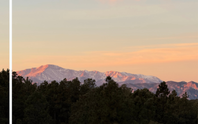 Being a braving community